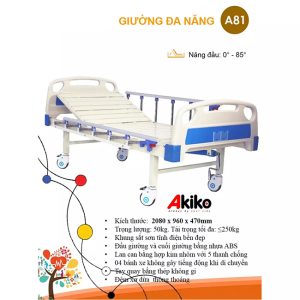 Thông số kĩ thuật của giường bệnh nhân 1 tay quay Akiko A81